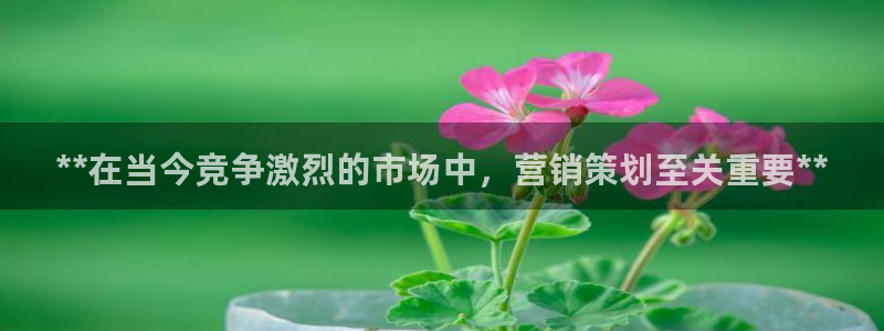 必赢72886后面字母是多少