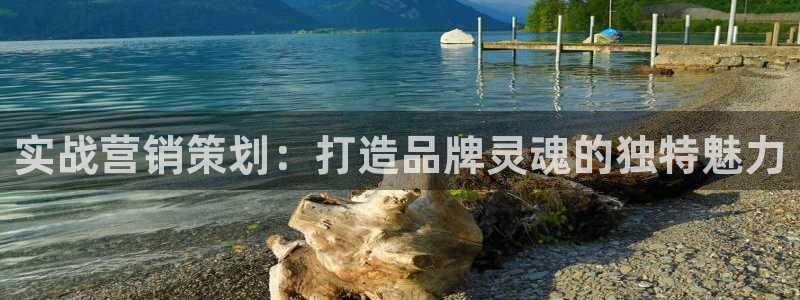 必赢app官方
