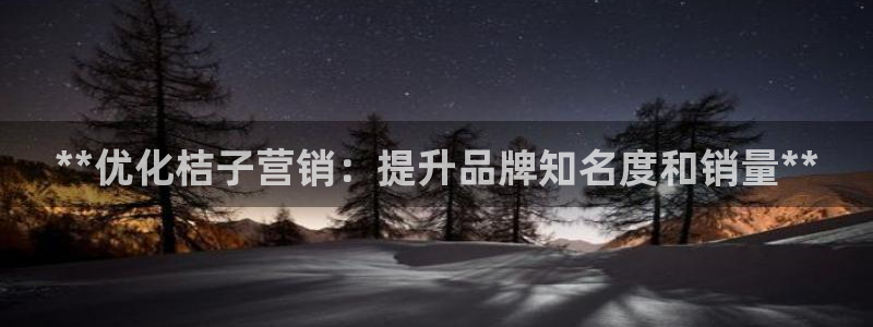 必赢公司是怎样的一家企业