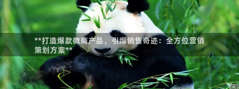 必赢这个平台怎么样