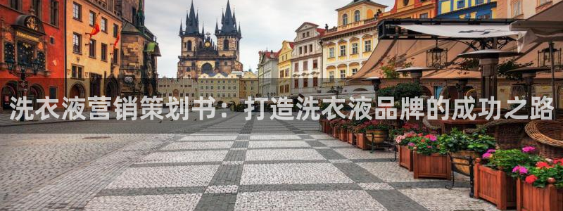 必赢手机版官网