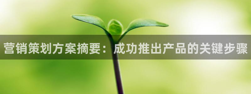必赢766
