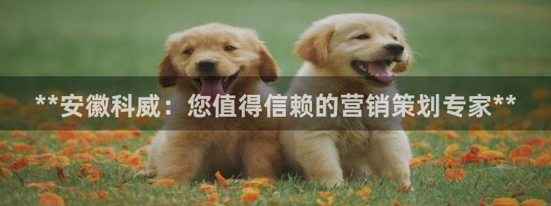 必赢活动安卓下载app