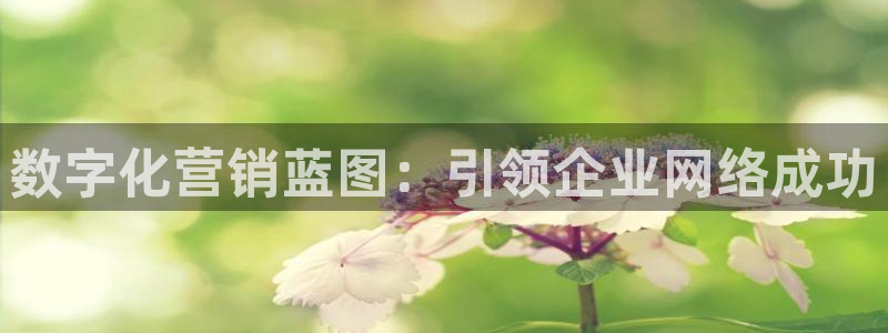 9965必赢游戏网址
