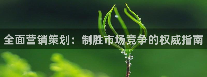 必赢集团菲律宾