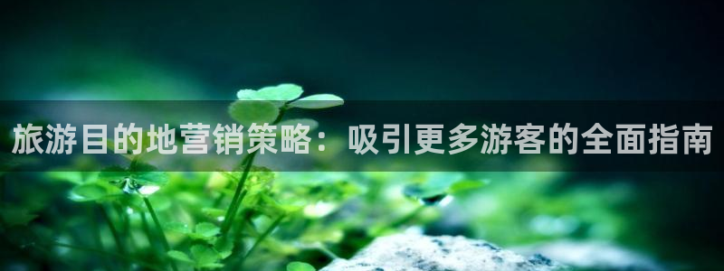 必赢官网下载安装