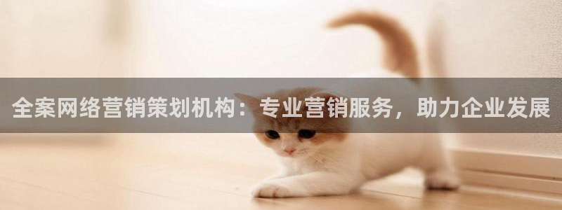 必赢网站是多少啊