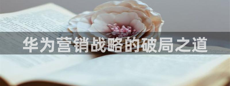 必赢网站进去