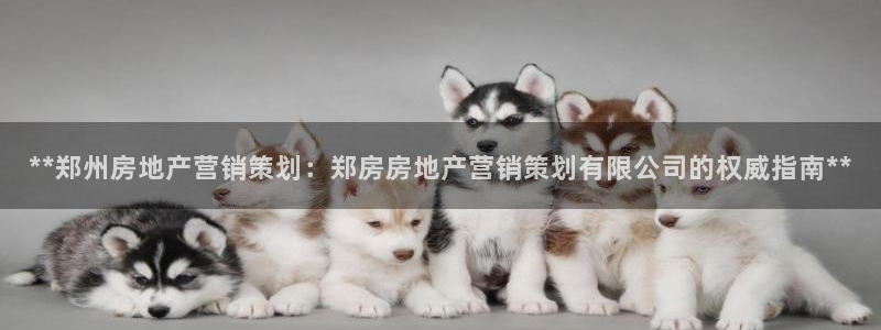 必赢下载地址