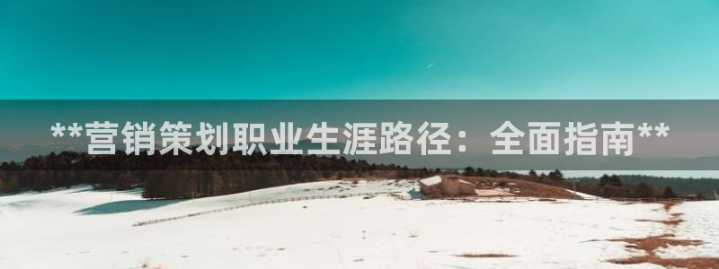 必赢网站是哪一个公司的