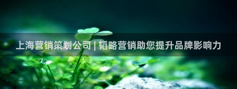 必赢手机app下载安装官网