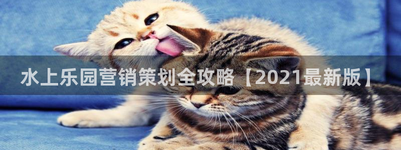 必赢官网网站入口网址