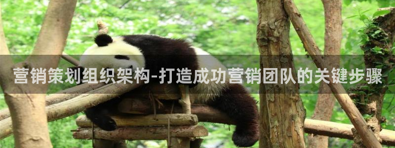 必赢集团怎么样
