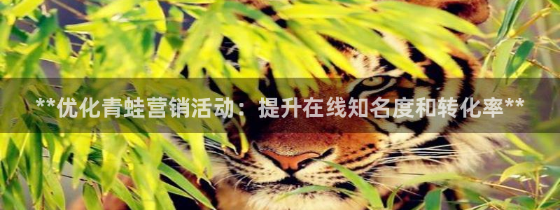 必赢这个软件怎么样