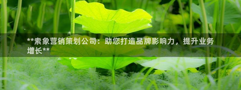 必赢集团winex