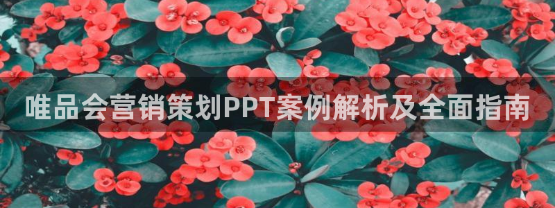 必赢官网app下载苹果版：唯品