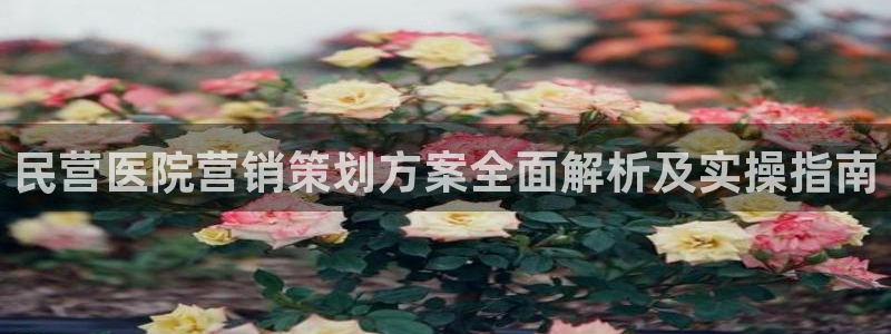 必赢手机app下载